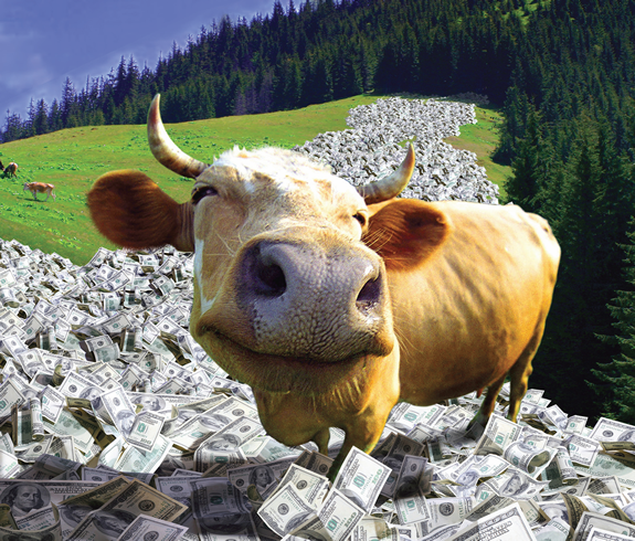 CashCow.png