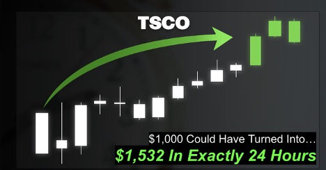 Chart of TSCO showing $1,000 Could Have Turned Into $1,532 In Exactly 24 Hours