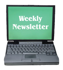 Weekly Newsletter on a laptop screen